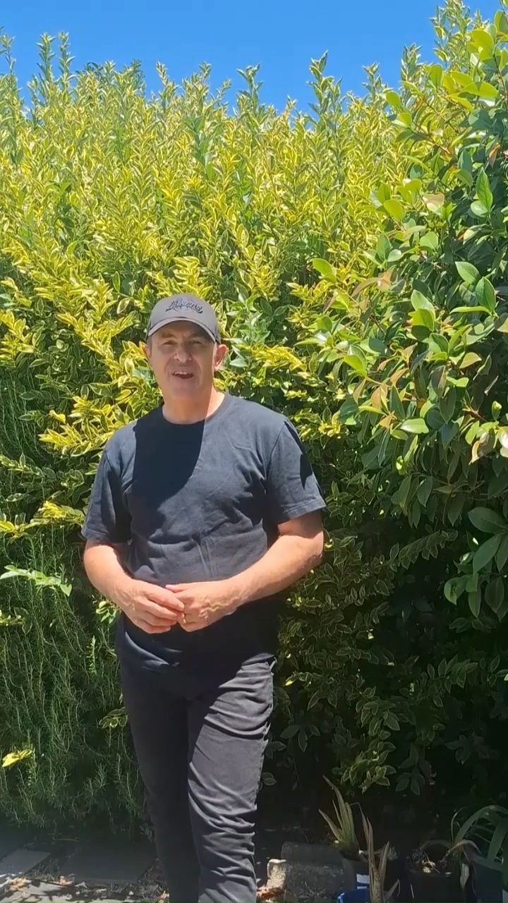 Pastor Albert speaking outdoors